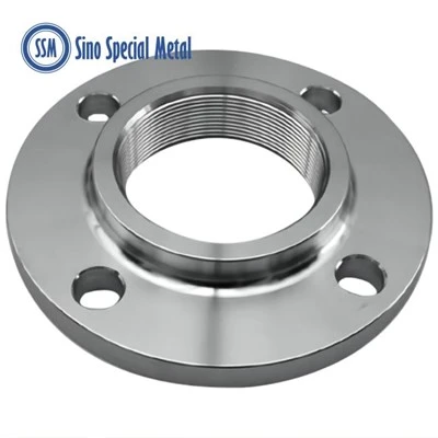 ASTM A182 F347 347H Acier inoxydable DIN 86029 86030 Brides filetées ovales simples