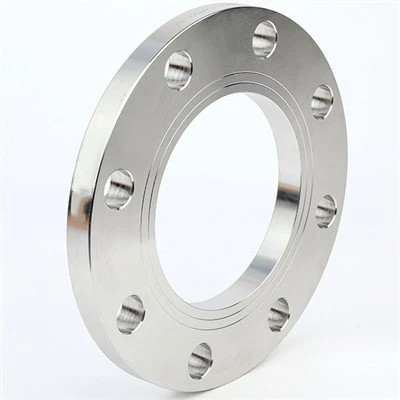 Brides plates en alliage Hastelloy C276 DIN 2573 2576 2502 2503 pour le soudage